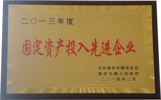 固定資產投入先進企業(yè)